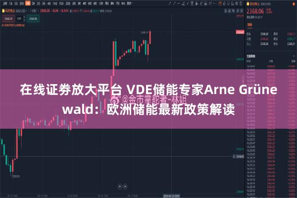 在线证劵放大平台 VDE储能专家Arne Grünewald：欧洲储能最新政策解读