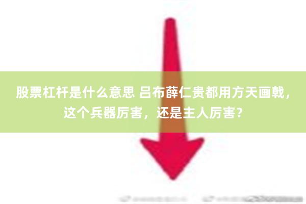 股票杠杆是什么意思 吕布薛仁贵都用方天画戟，这个兵器厉害，还是主人厉害？