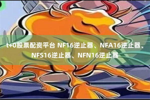 t+0股票配资平台 NF16逆止器、NFA16逆止器、NFS16逆止器、NFN16逆止器