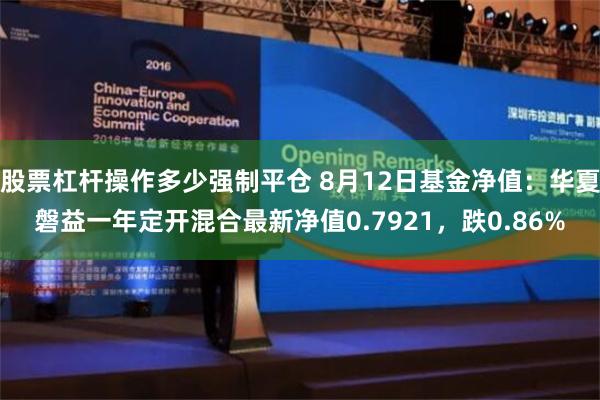 股票杠杆操作多少强制平仓 8月12日基金净值：华夏磐益一年定开混合最新净值0.7921，跌0.86%