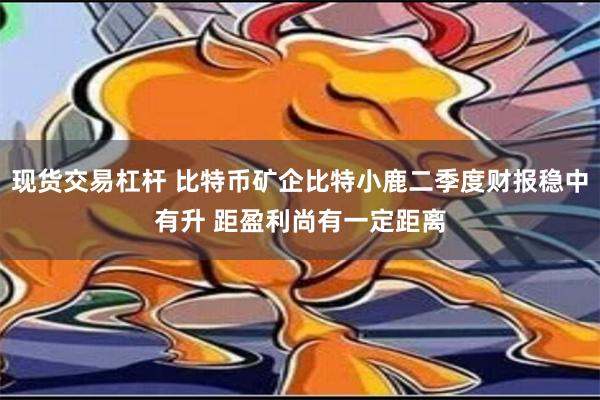 现货交易杠杆 比特币矿企比特小鹿二季度财报稳中有升 距盈利尚有一定距离