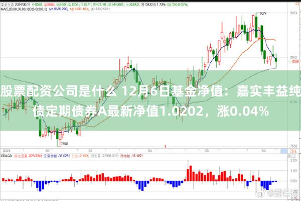 股票配资公司是什么 12月6日基金净值：嘉实丰益纯债定期债券A最新净值1.0202，涨0.04%