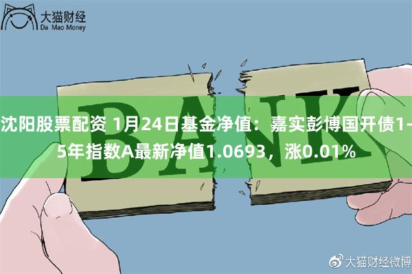 沈阳股票配资 1月24日基金净值：嘉实彭博国开债1-5年指数A最新净值1.0693，涨0.01%