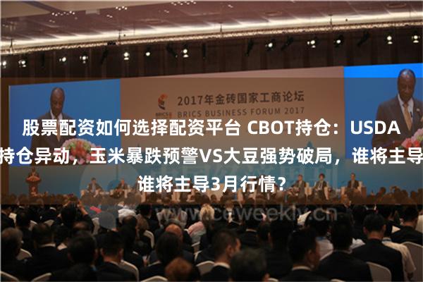 股票配资如何选择配资平台 CBOT持仓：USDA报告引爆持仓异动，玉米暴跌预警VS大豆强势破局，谁将主导3月行情？